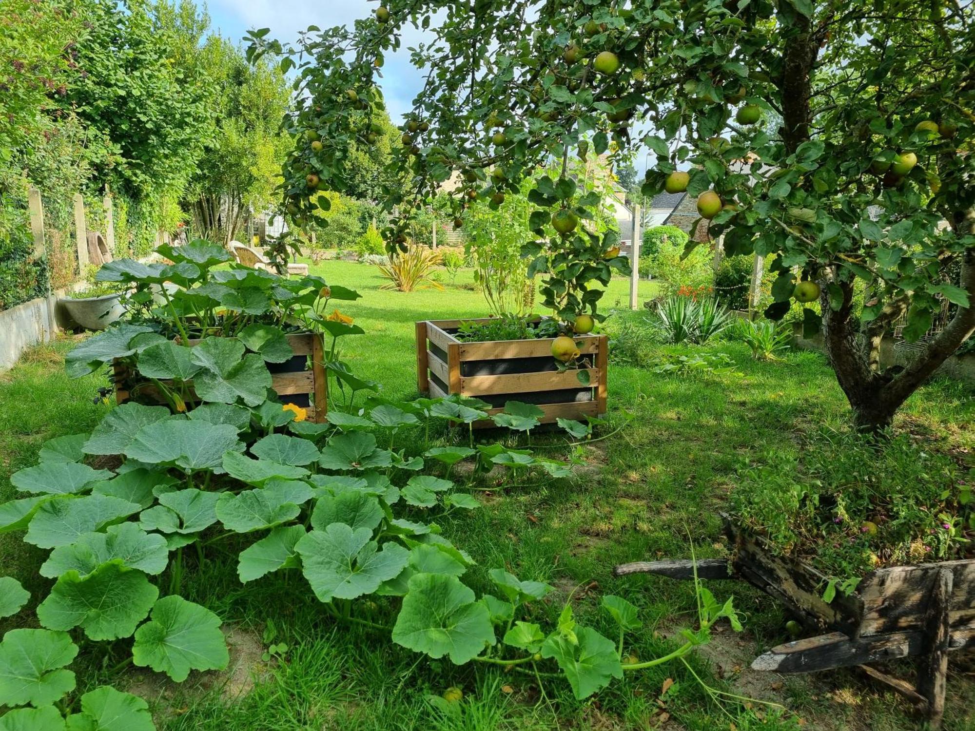 Ferienwohnung Les Forges Du Lou Jugon-les-Lacs Exterior foto